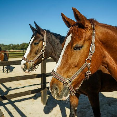 루크마호르 Vmg Horse Ranch (Adults Only) 빌라 외부 사진