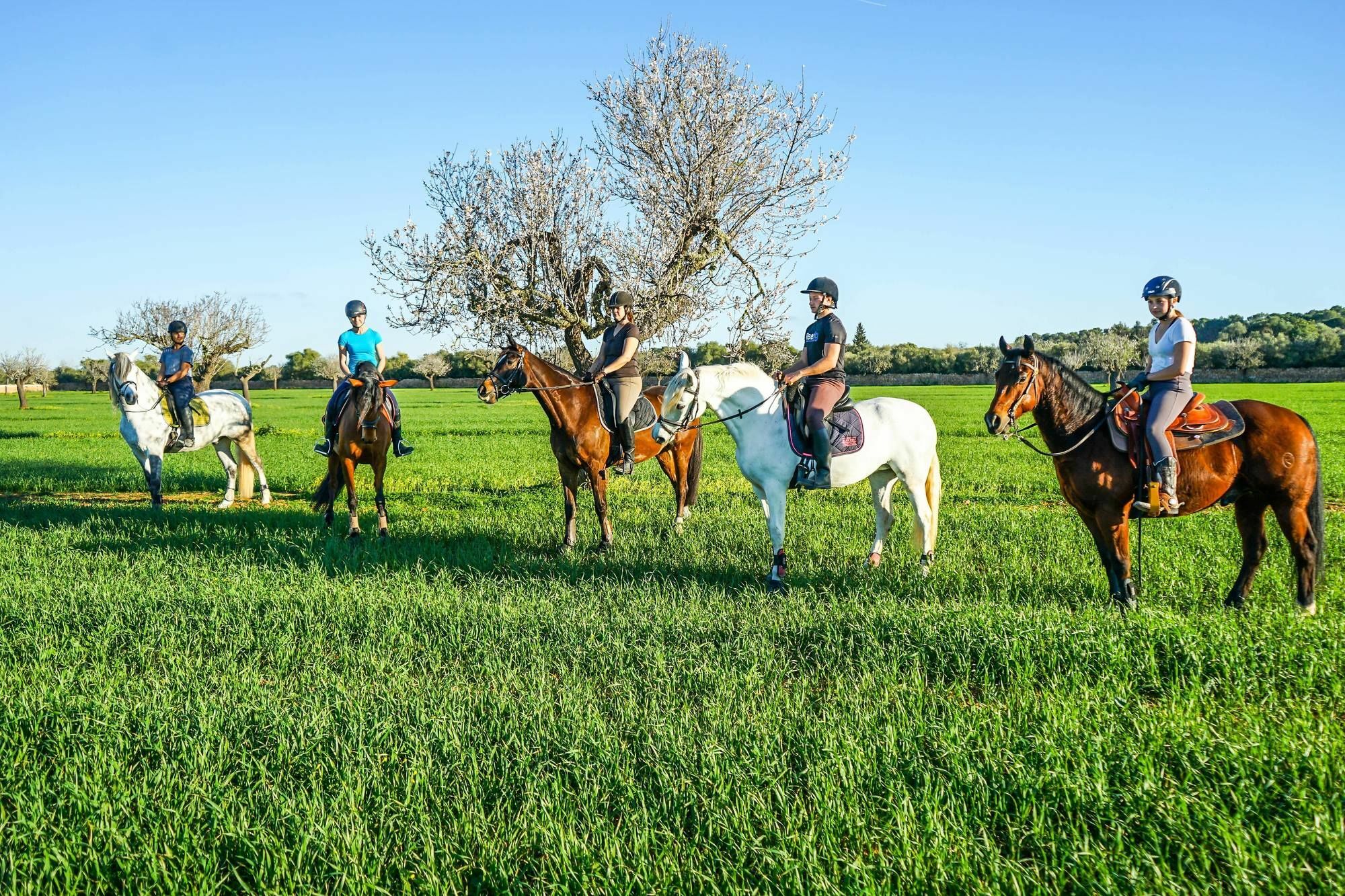 루크마호르 Vmg Horse Ranch (Adults Only) 빌라 외부 사진